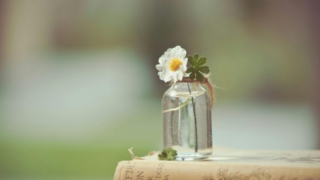 A serene composition featuring a white flower in a glass bottle atop a vintage book, evoking simplicity and elegance.